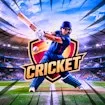 Cricket PowerPlay